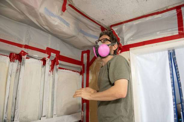 Mold Odor Removal Services in St Hedwig, TX