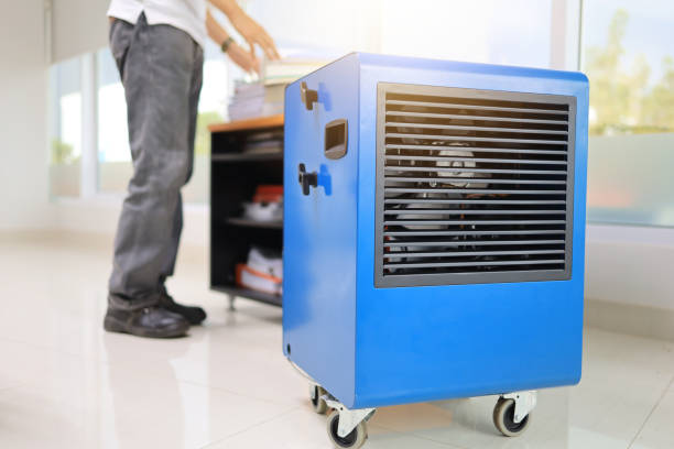 Best Environmental Consulting for Mold Prevention  in St Hedwig, TX